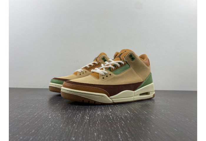 Air Jordan 3 “Green Brown”  CT8532-103