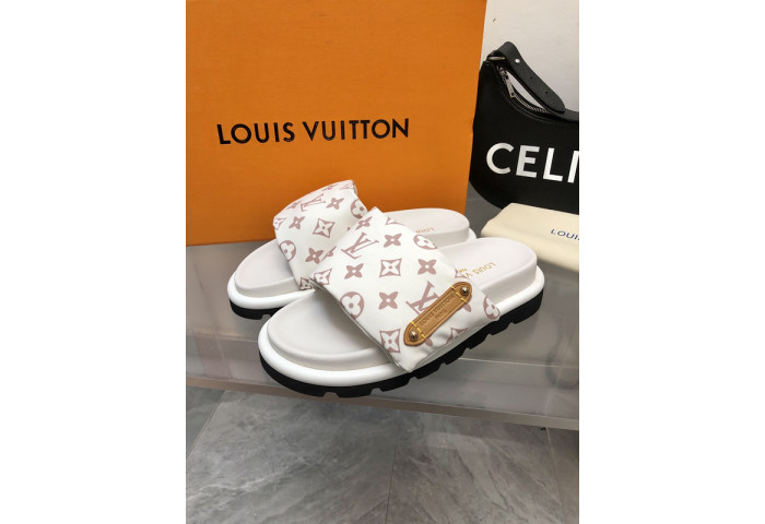 LV SLIDES
