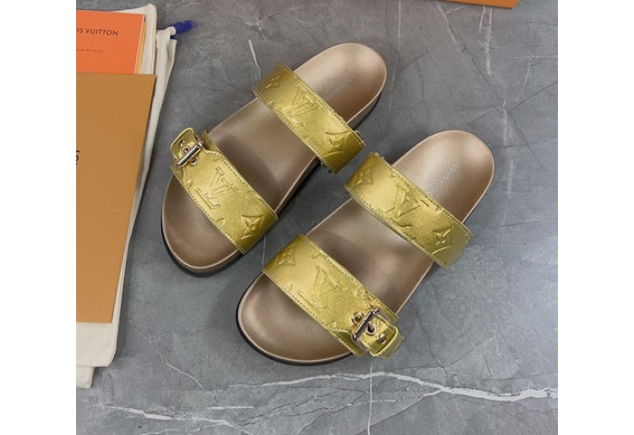 LV SLIDES