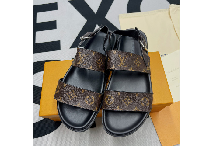 LV SLIDES