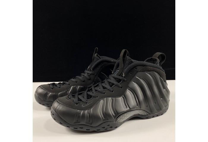 Nike Air Foamposite One Anthracite 314996-001