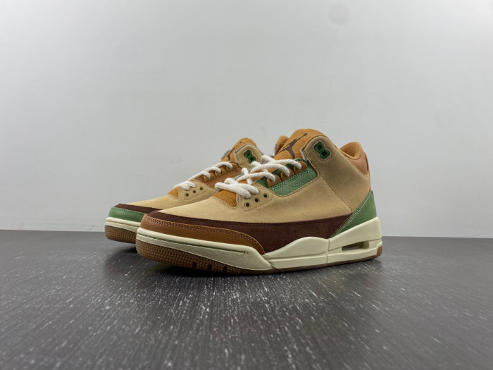Air Jordan 3 “Green Brown”  CT8532-103