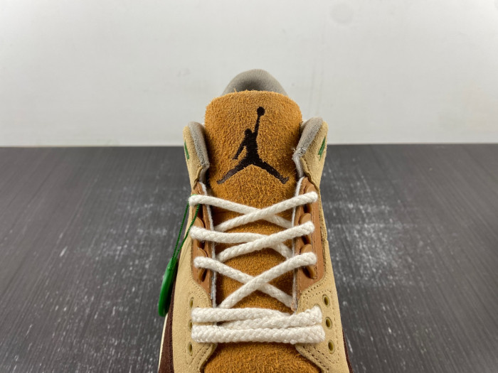 Air Jordan 3 “Green Brown”  CT8532-103