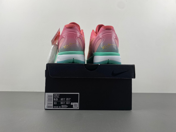 Nike Kobe 6  CM2190-201