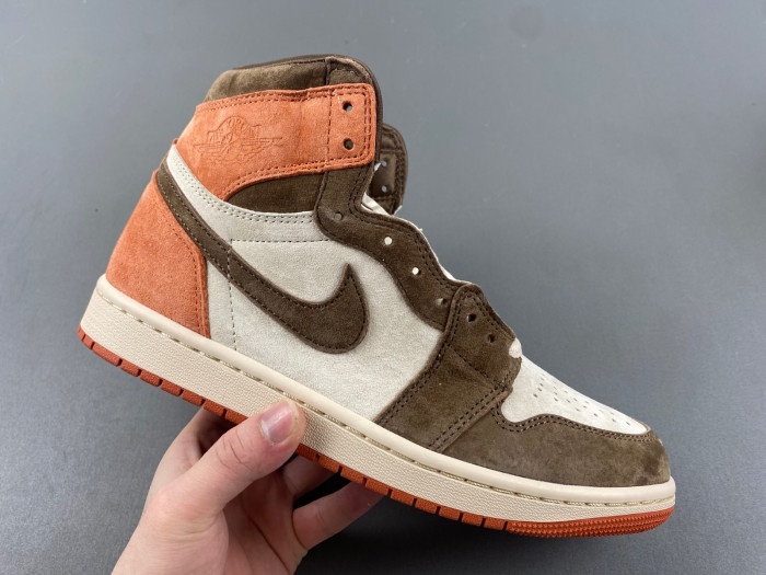 Jordan 1 Retro High OG SP Dusted Clay   FQ2941-200