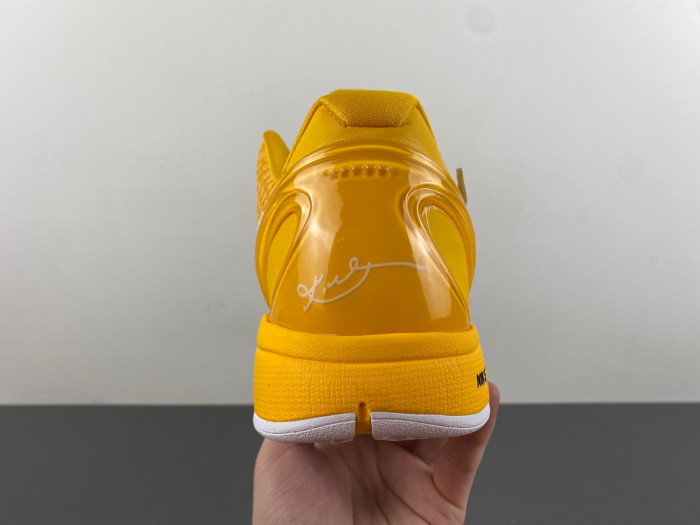 Nike Kobe 6 Protro  CW2190-501