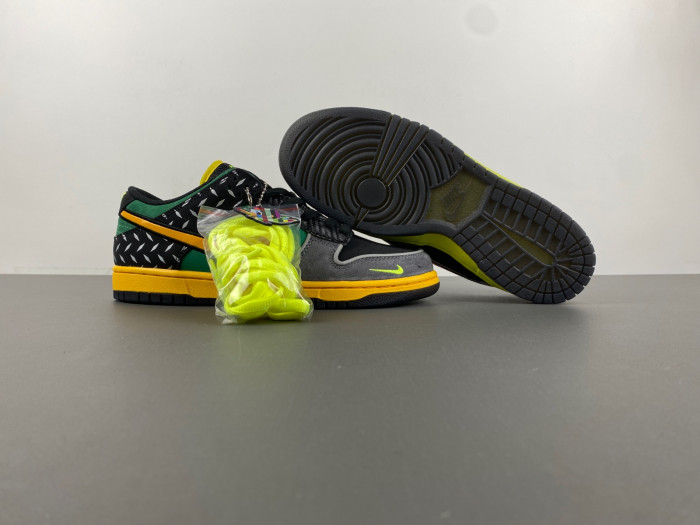 Nike Dunk Low What the Duck Home University of Oregon PE  HV1454-001