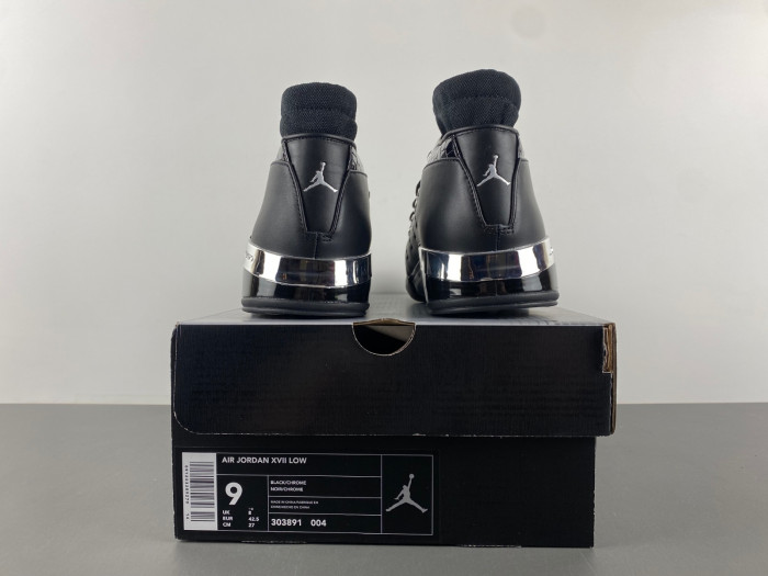 Jordan 17 Black Metallic Silver   303891-004