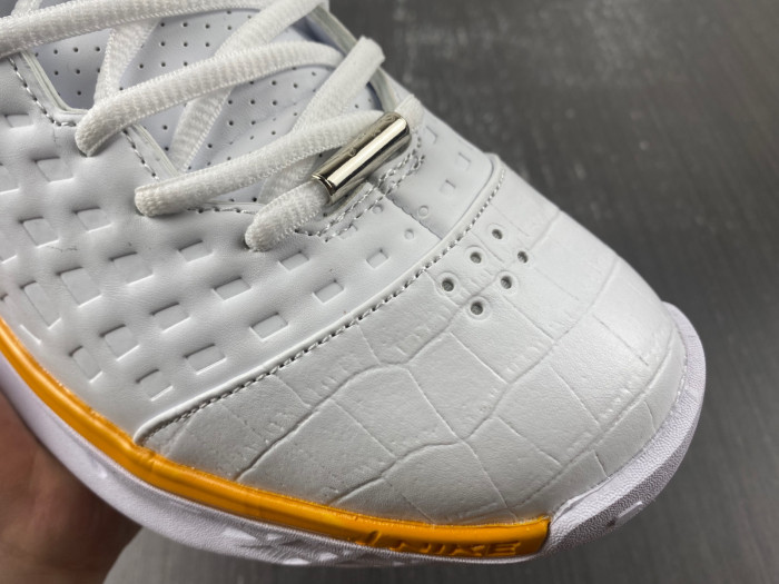 Nike Kobe 3 SL MVP   318695-151