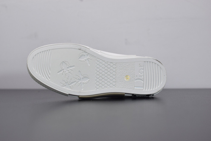 D*or b23 oblique sneaker