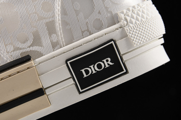 D*or b23 oblique sneaker