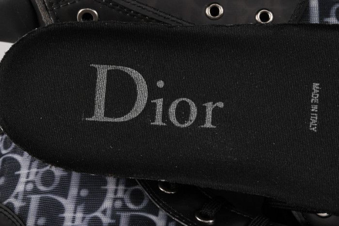 D*or b23 oblique sneaker