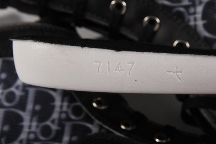 D*or b23 oblique sneaker