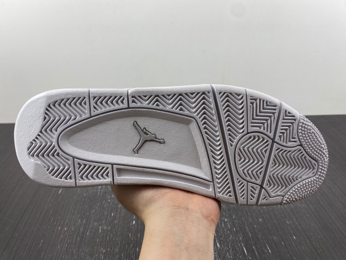 Jordan 4 Retro Snakeskin    819139-030