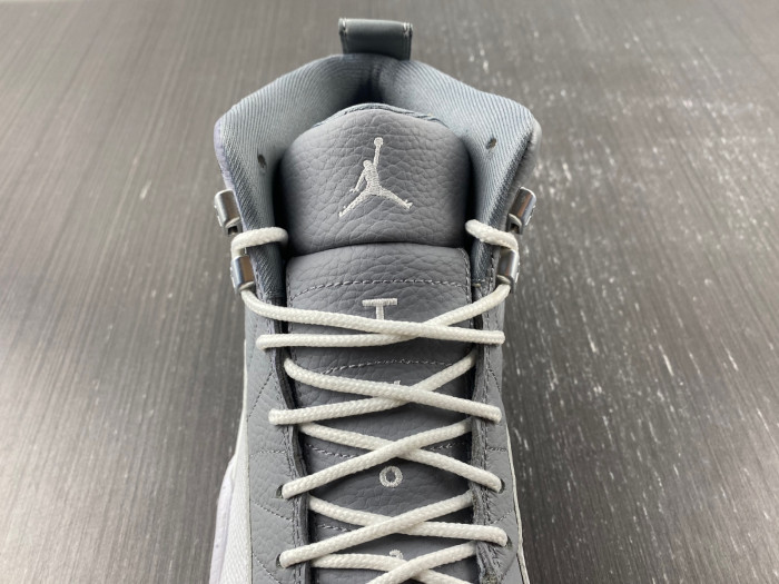 Jordan 12 Retro Stealth CT8013-015
