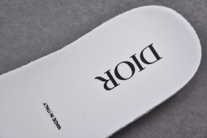 D*or b23 oblique sneaker