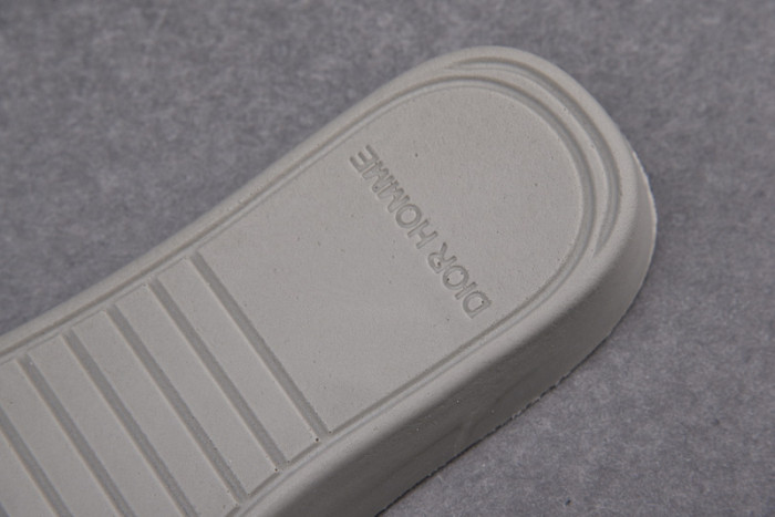D*or b23 oblique sneaker
