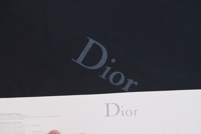 D*or b23 oblique sneaker