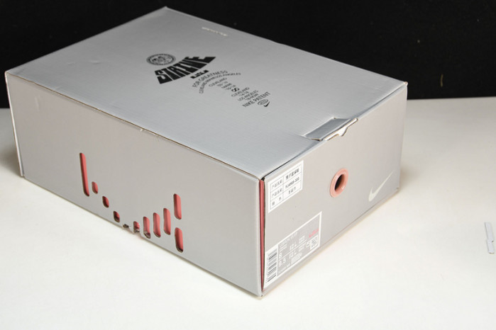 Nike LeBron 20 Stocking Stuffer   FJ4955-300