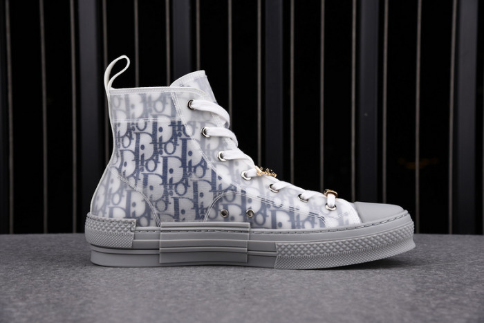 D*or b23 oblique sneaker