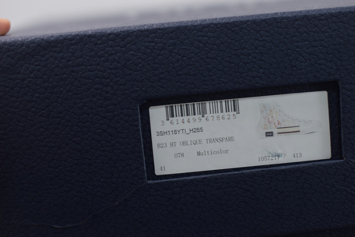 D*or b23 oblique sneaker