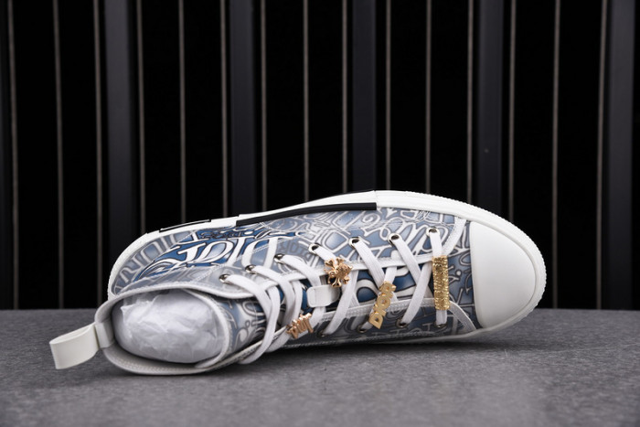 D*or b23 oblique sneaker
