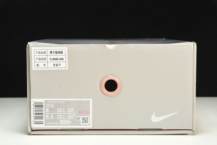 Nike LeBron 20 Stocking Stuffer   FJ4955-300