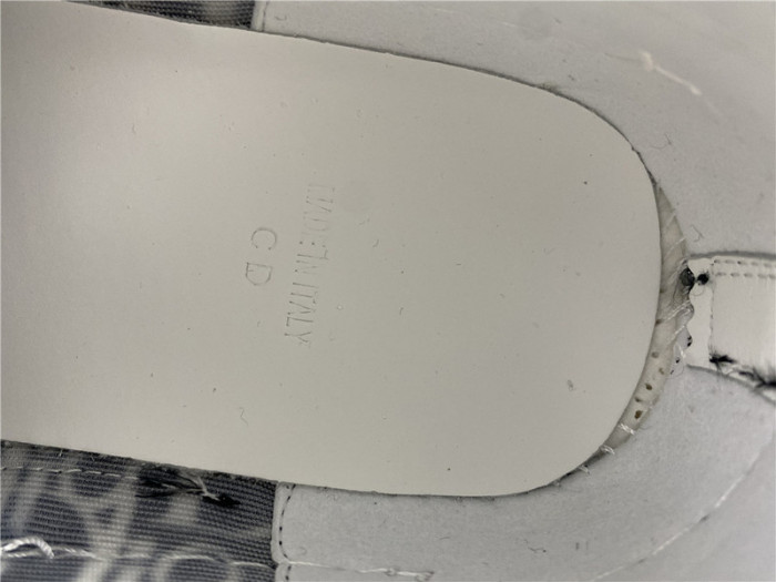 D*or b23 oblique sneaker