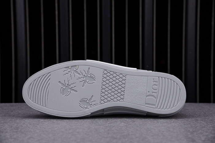 D*or b23 oblique sneaker