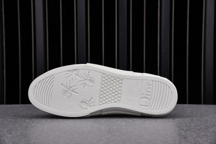D*or b23 oblique sneaker
