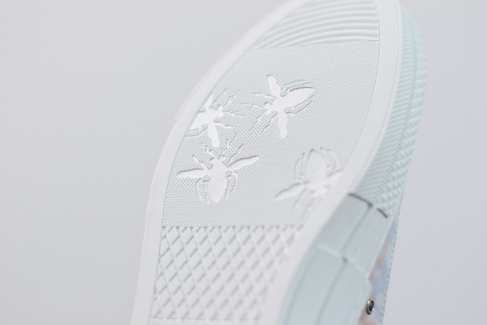 D*or b23 oblique sneaker
