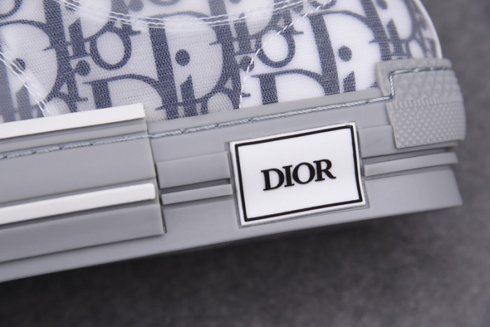 D*or b23 oblique sneaker