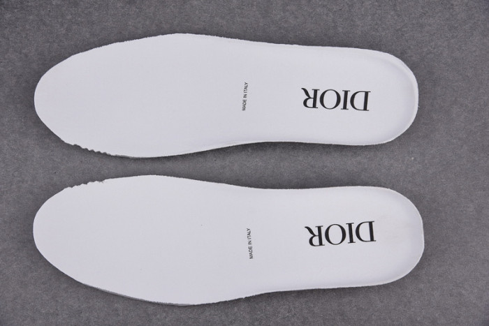 D*or b23 oblique sneaker