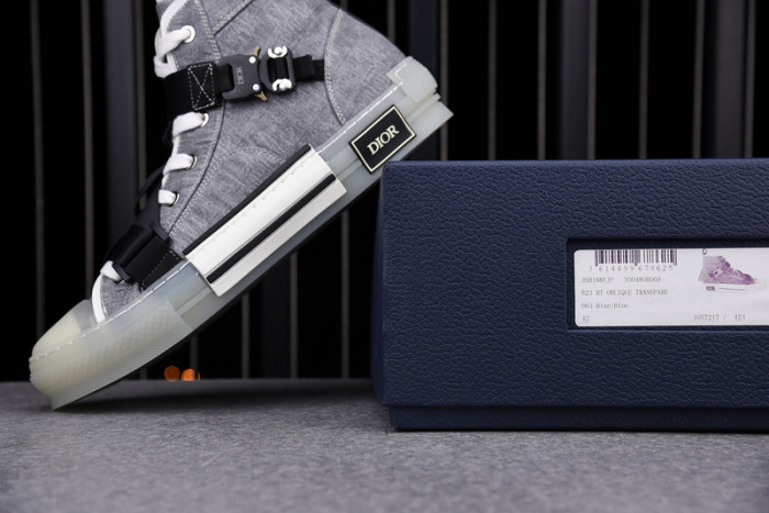 D*or b23 oblique sneaker