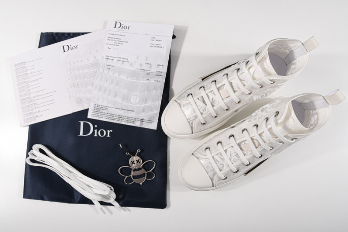 D*or b23 oblique sneaker