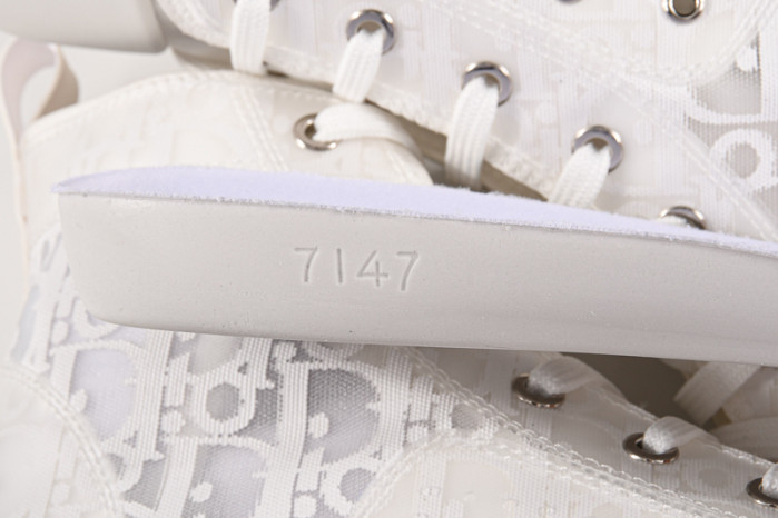 D*or b23 oblique sneaker