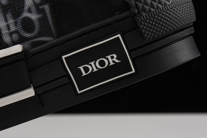 D*or b23 oblique sneaker