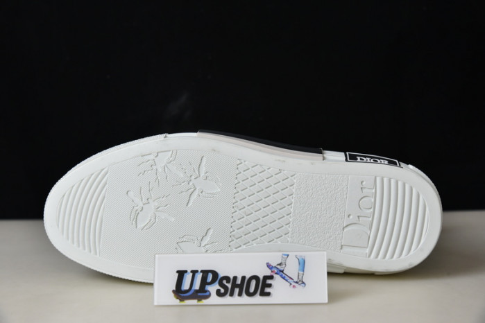D*or b23 oblique sneaker