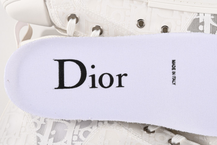 D*or b23 oblique sneaker
