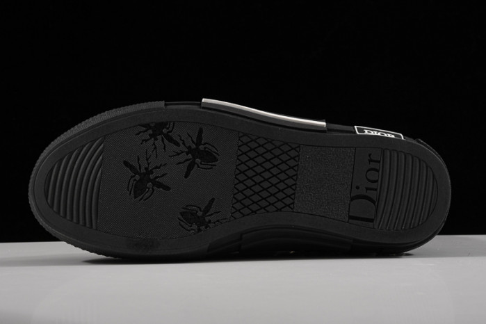 D*or b23 oblique sneaker