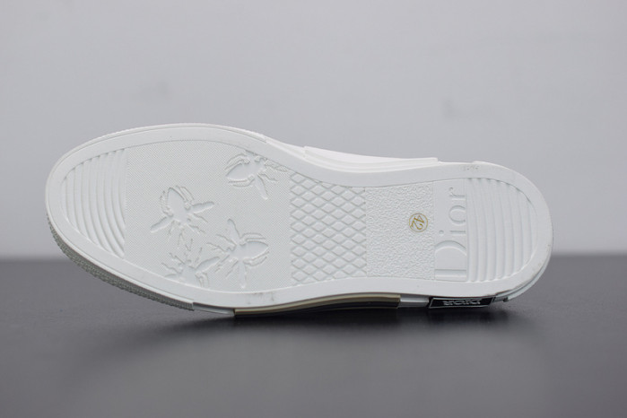 D*or b23 oblique sneaker